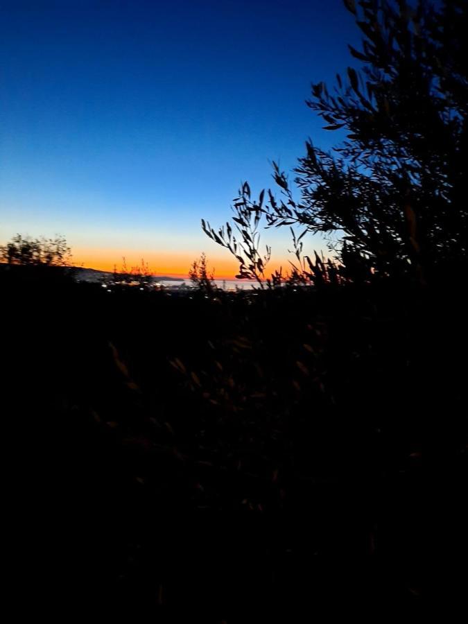 Apartma Rok Plavje Exteriér fotografie